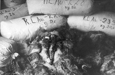 Female hair found in Auschwitz warehouses after liberation.  Image courtesy of Polish National Archives via fcit.usf.edu
