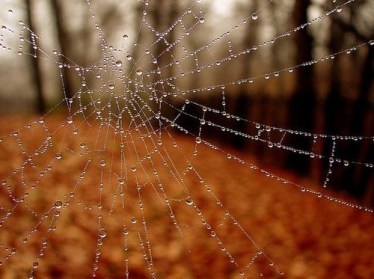 Image via http://love-of-autumn.tumblr.com/post/30998086167