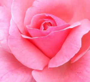 Image courtesy of Kitt O'Malley via www.kittomalley.com  