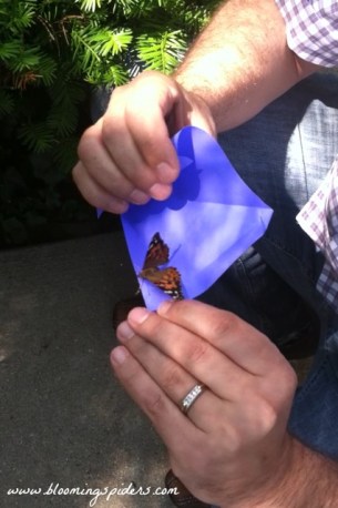 butterfly release 2015_Ren hands_pm