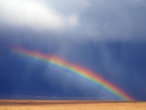 intense-colors-357950_1280